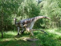 Dinosaurier Modelle Tiere aus der Eiszeit Dinosaurier Parks in Polen 30